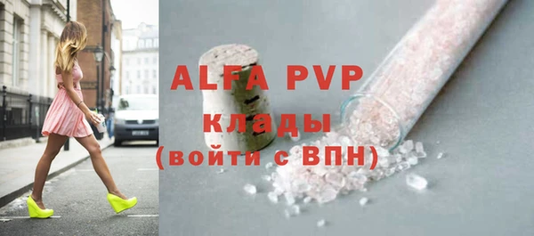 МДПВ Пересвет
