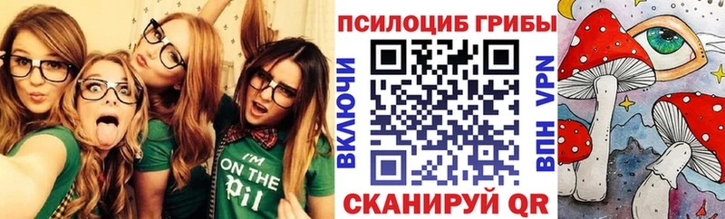 Галлюциногенные грибы Psilocybine cubensis  Лукоянов 